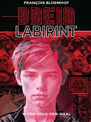 cover image of Breinlabirint